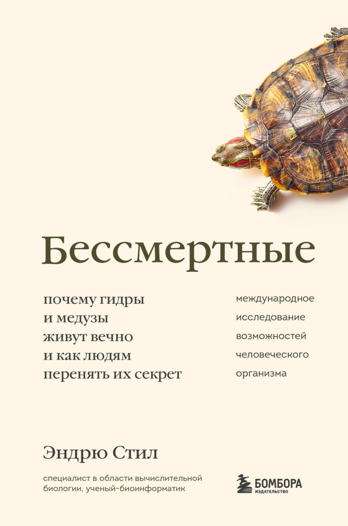 Кракен не работает тор